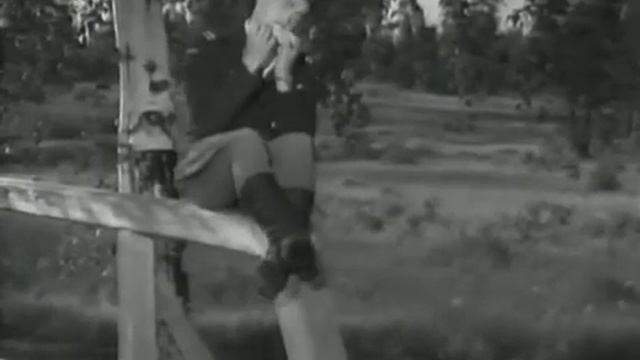 В. Доронин - Расцвела сирень-черемуха в саду