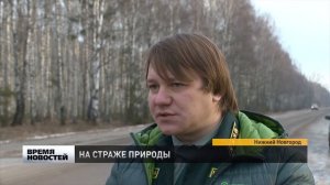 ЗАЩИТА МОЛОДЫХ ДЕРЕВЬЕВ