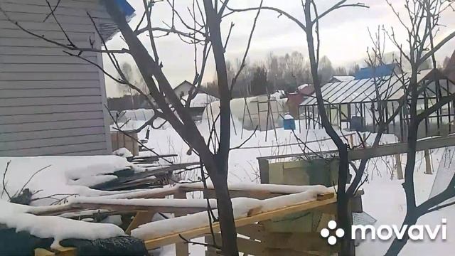 Обрезка яблони в феврале смотреть онлайн