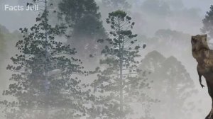 Самые Опасные Деревья, Которые Нельзя Трогать