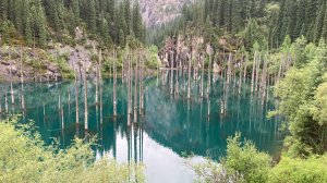 Казахстан. Озеро Каинды-самое красивое озеро южного Казахстана.