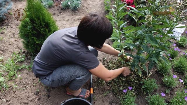 Нестандарт. Сезон 2. Анонс. Канал Загородный смотреть онлайн