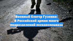 Военный блогер Гузенко: В Российской армии много подразделений псевдоспецназа