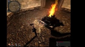 СТАЛКЕР  ЗОЛОТОЙ ОБОЗ 2  Артефакт Мох,для Волкодава!!!