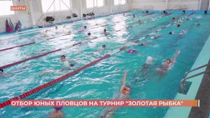 В Шахтах прошел отбор юных пловцов на турнир "Золотая рыбка"