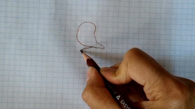 цветок бобовых (мотыльковых): строение смотреть онлайн