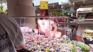 Осенний Growbox 2025