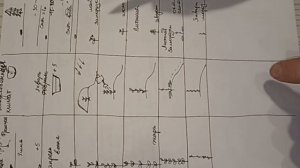 Вырастить культурную яблоню из семечки? Можно или нет?