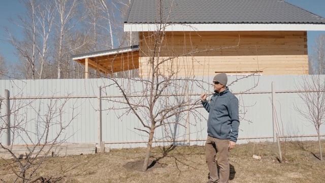 СКОЛЬКО СТОИТ ОБРЕЗКА плодовых деревьев? Обрезка плод смотреть онлайн