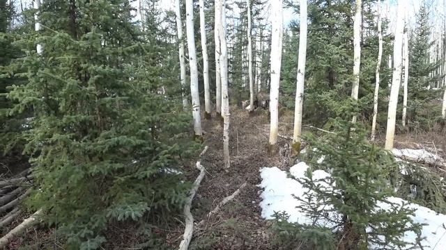 Жизнь на Аляске. Весна.  Участок затопило. Наводим поря