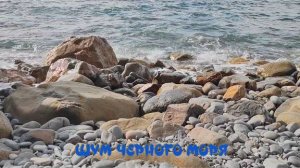 Геленджик. Шум моря