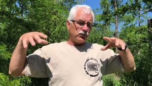 Что такое ПЕРМАКУЛЬТУРНЫЙ САД (что вам нужно знать!)