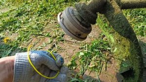 Привезли доски. Какой триммер лучше? Начал косить трав