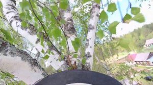 Работа арбориста с бензопилой на высоте Arborist work with a chai