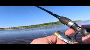 отчет о рыбалке за 17.08.2025