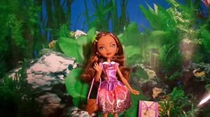 Обзор на Кедру Вуд Базовая-перевыпуск