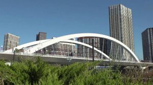 Новый мост через Москву-реку связал Шелепихинскую набережную с Филевской поймой