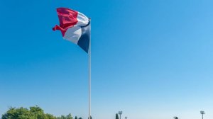 «Франция сыта по горло»: жители страны сравнивают Макрона с овощем