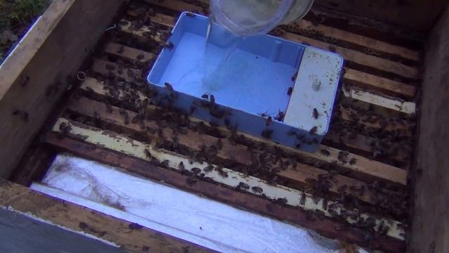 Замена матки в основную семью через пересылочную клет смотреть онлайн