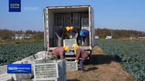 Инновационные сельскохозяйственные технологии позво