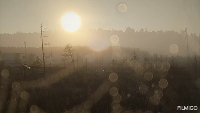 1000182783.mp смотреть онлайн