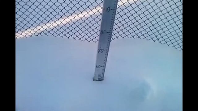 какая температура на винограднике под снегом смотреть онлайн