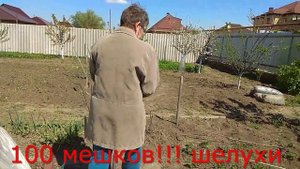 Вырастить свой сад и возделать огород на Кубани