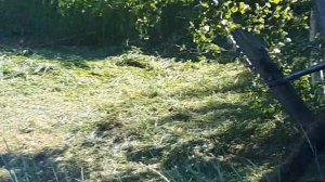 отзыв о бензокосе штиль FS 250. Отвез немного пчел в лес, ?