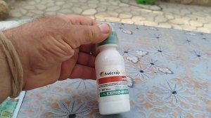 Обработка винограда простая и надёжная.