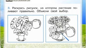 Задание 3 Как живут растения? - Окружающий мир 1 класс (П