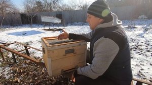 ✅ Лучший Улей -- универсал с сеткой в подкрышнике! Пчел