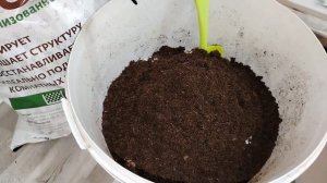 Грунт для хой. В каком грунте укореняем хойи.