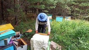 Подготовка пчёл к зимовке на улице! Пчеловодство!