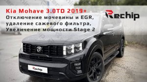 Чип тюнинг Kia Mohave 3.0TD, отключение мочевины и EGR, удаление сажевого фильтра Rechip, Речип