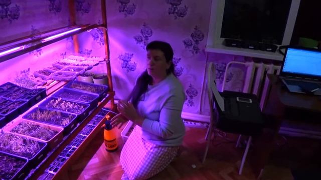 Технология. Домашняя теплица. 3 Серия смотреть онлайн