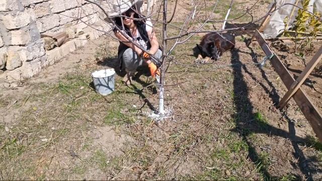 Весна пора побелить деревья смотреть онлайн