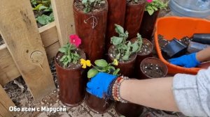 БЕРУ ОБРЕЗКИ ТРУБ СДЕЛАЛА КЛУМБУ ДЛЯ ЦВЕТОВ @obovsemsmarusya