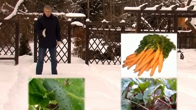 Планирование огорода смотреть онлайн