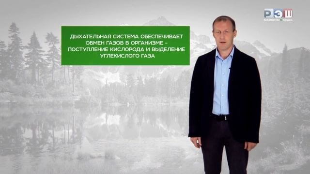 Органы и системы органов животных
