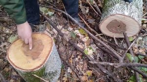 БЕНЗОПИЛА   Пила цепная Partner P350S