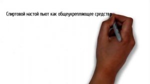 Корень солодки Польза и противопоказания