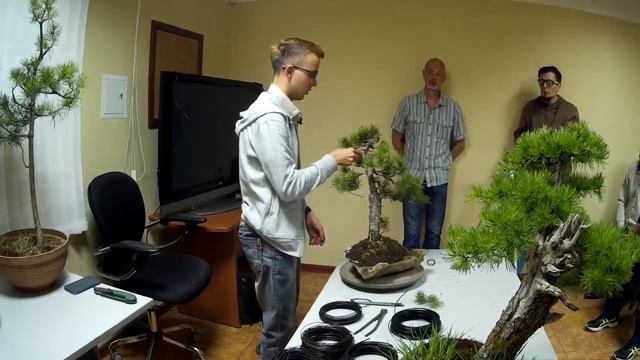 Семинар Практика смотреть онлайн