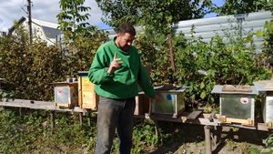 Перемещение семей пчел на небольшие расстояния по пас