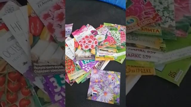 посылка, Клуб садоводов профессионалов, виноград приш смотреть онлайн