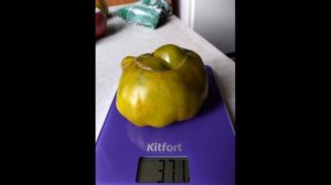 Высокоурожайный, вкусный и сладкий сорт томата Буржуй