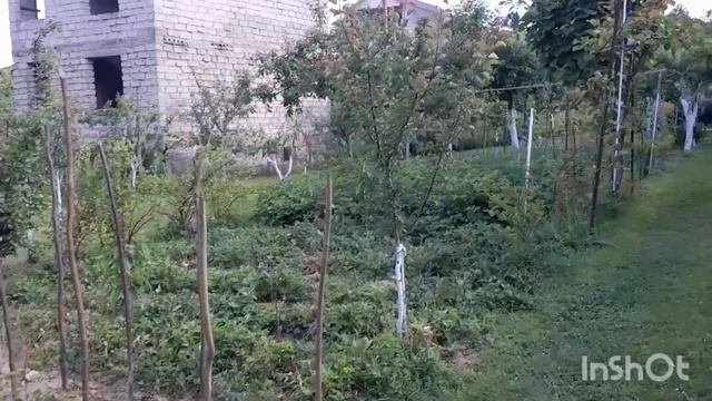 Ландшафтний дизайн садового участка.