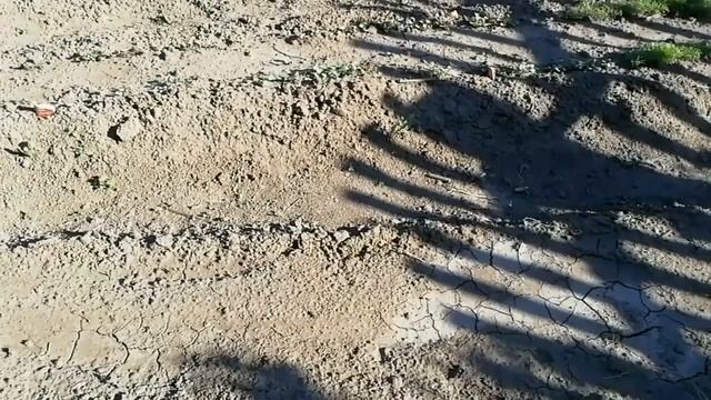 Грядки, где растёт картошка смотреть онлайн