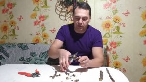 Тест секатора с наковальней