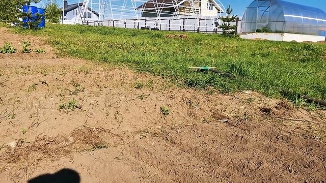 ЭПИН - и заморозки не страшны и можно не укрывать!
