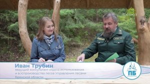 К Дню работников леса. Православная Брянщина. Видеорепортаж.